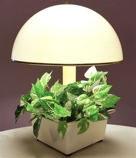 Vintage Magic Planter Lamps: A Delicate Balance of Light and Nature
